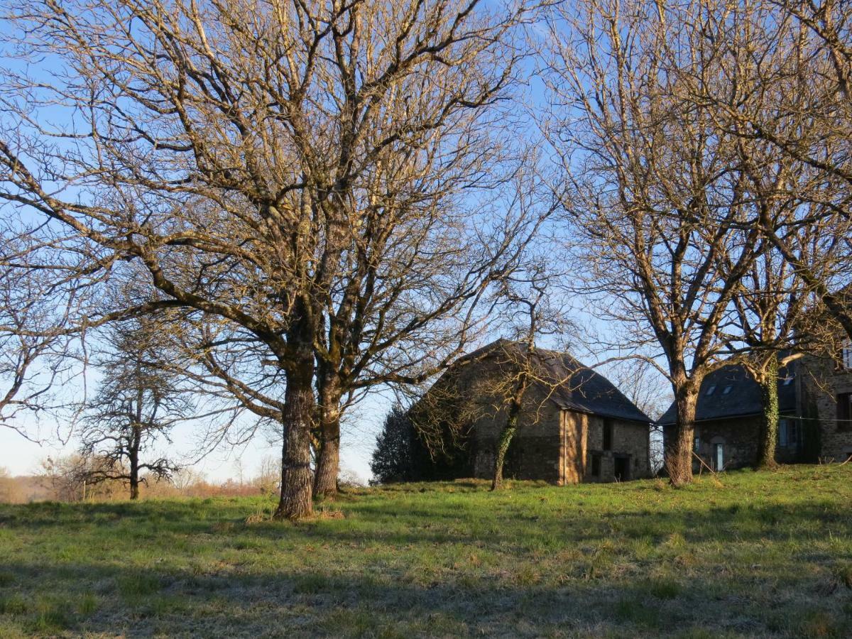 Bed and Breakfast Domaine De La Clauzade Saint-Germain-les-Vergnes Exteriér fotografie